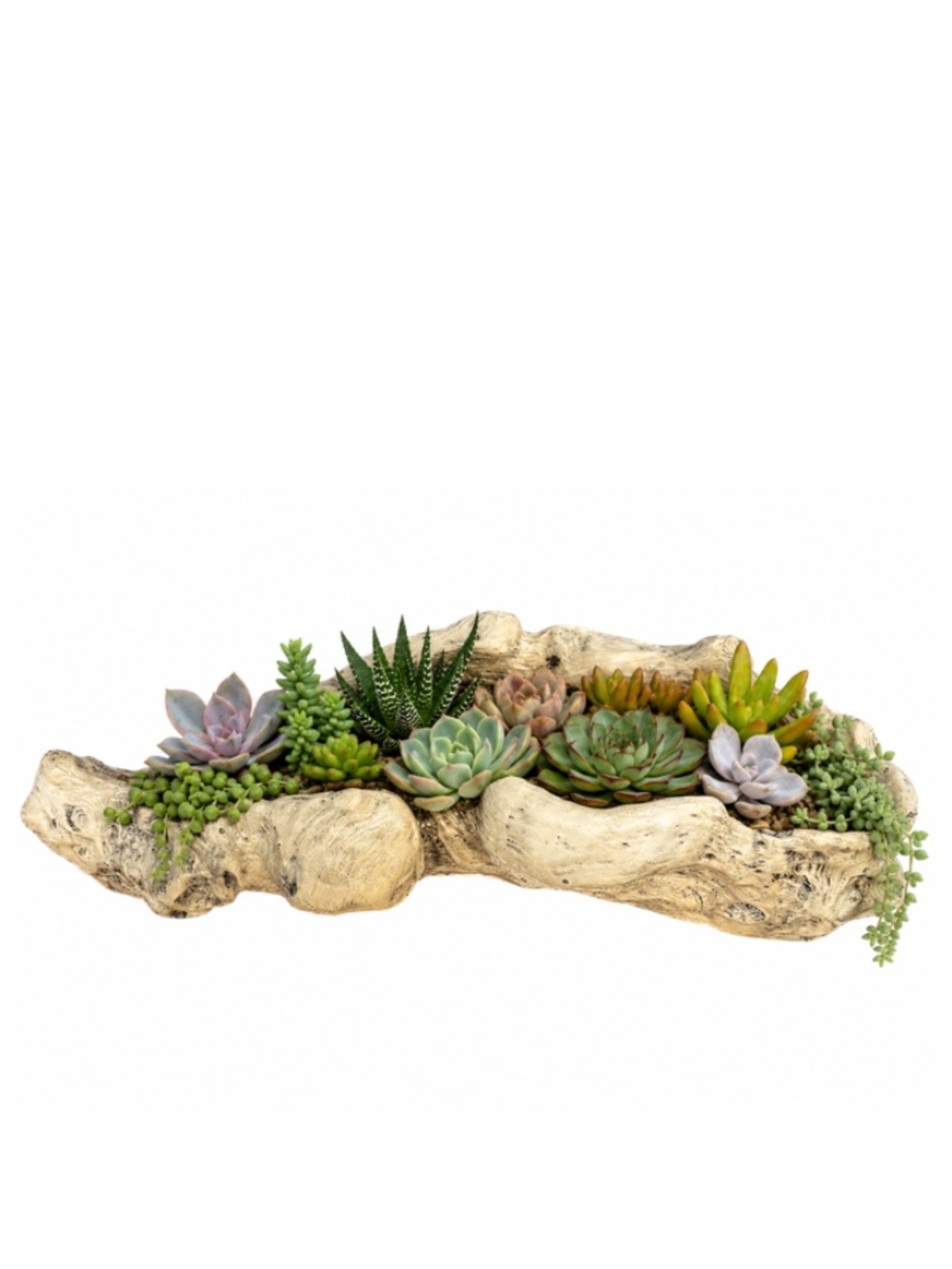 Handcrafted Driftwood-Style Succulent Planter – 13" Long – Rustic Natural Décor
